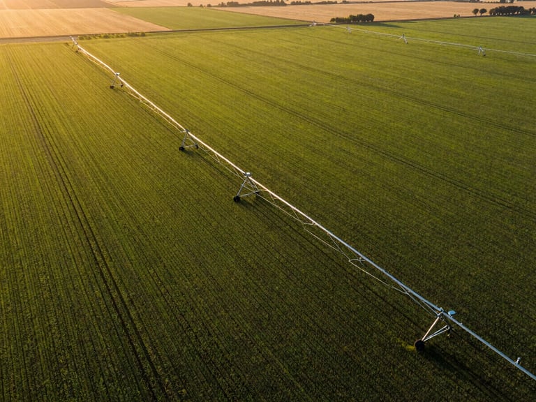 Sustainable agricultural corridor, drone shot over vast green fields, modern irrigation, warm sunlight, wide environmental landscape.