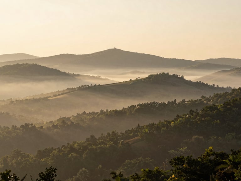 Cinematic wide shot of the Appalachian foothills surrounding Charleston at sunrise, soft low-contrast morning light misting over the hills, elegant compositions with deep negative space.