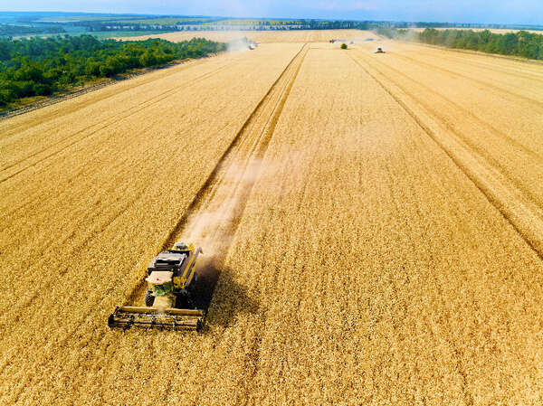Terreno seminativo 3 ettari in vendita Gorgo al Monticano Treviso – lotto regolare