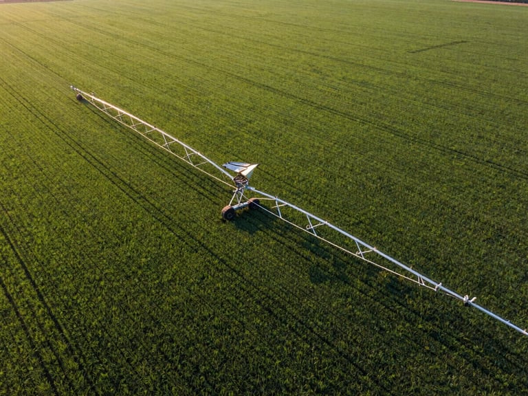 Drone shot of a vast, uniformly green field, showing efficient irrigation patterns, golden hour light.