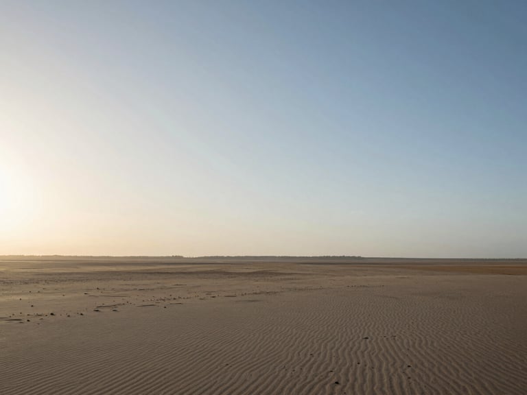 Wide open environmental landscape where the sky meets a low sand horizon, soft diffused morning light, expansive perspective.