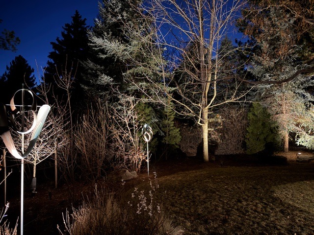 Illuminated backyard landscape with spotlights on trees and outdoor garden sculptures at night.