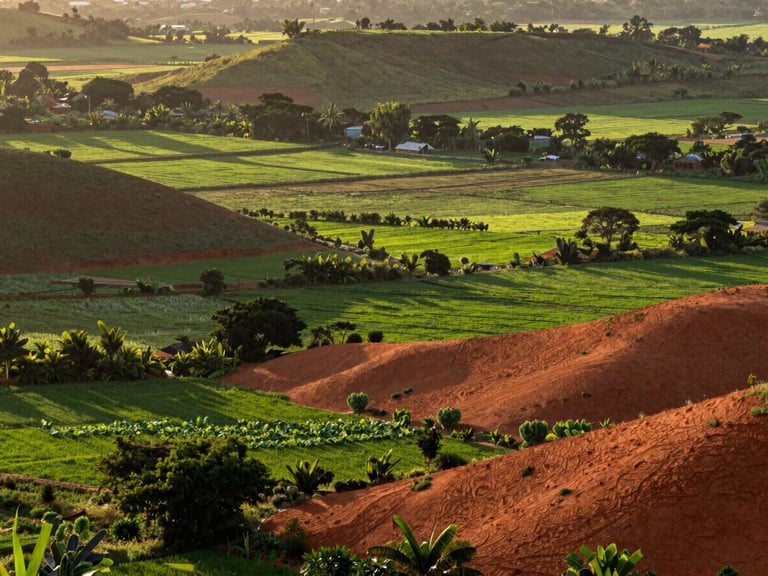Wide environmental landscape shot of a lush Mozambican agricultural valley at sunrise, rich terracotta and deep green tones