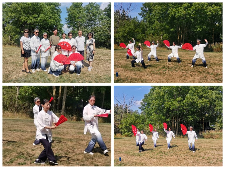 Tai Chi, Tai Chi fan