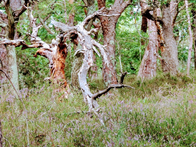 QUE LA FETE COMMENCE Patrick Art/Création