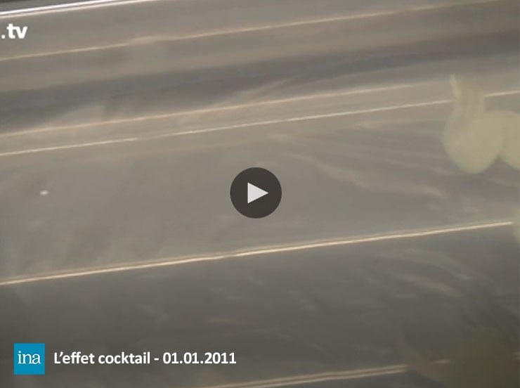 Pesticides l'effet cocktail