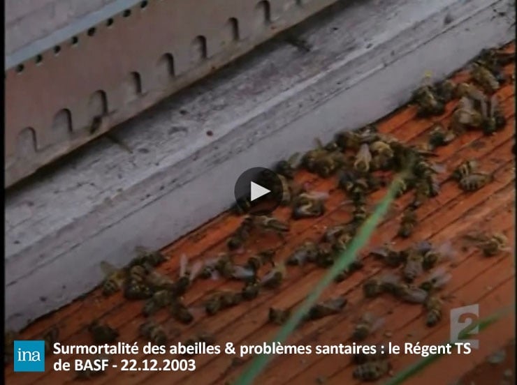 Pesticides Abeilles BASF