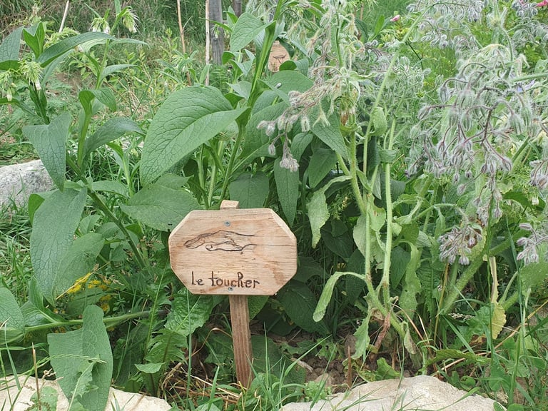 jardin des 5 sens le toucher