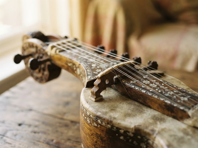 Macro close-up of a traditional dilruba string instrument, soft morning window light, warm golden tones, shallow depth of field, minimalist composition, 35mm