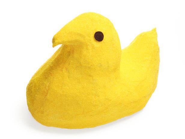 a yellow duckling with a yellow duckling on it