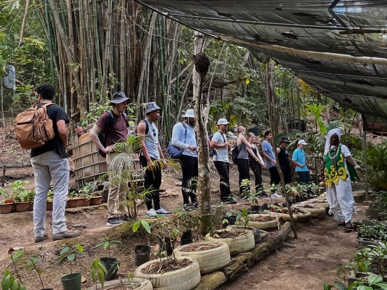 Field school nursery session