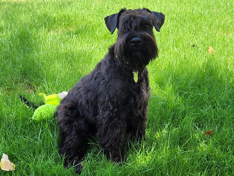 Vintus prend la pause !