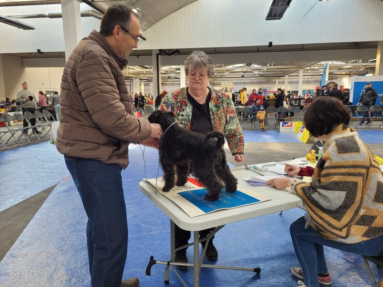 Eleveur Schnauzer miniature et juge SCC