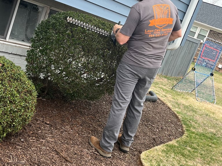 Tlc Upstate Lawn and Pest Trimming Hedges
