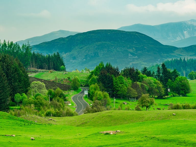 Paysage verdoyant des Cairngorms en Écosse, avec route sinueuse, collines et forêts sous un ciel brumeux.