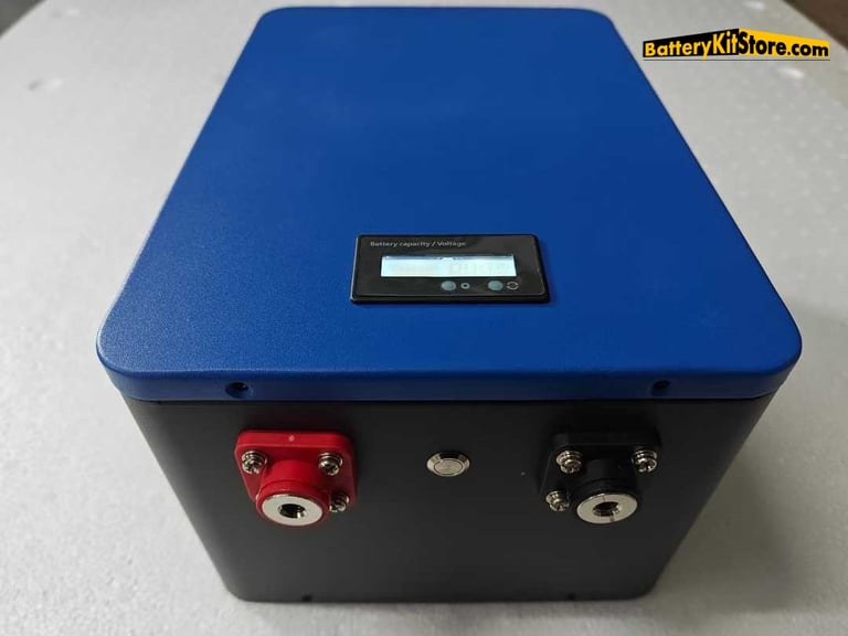 a battery pack of LiFePO4 prismatic battery cells