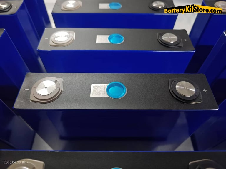 detail of LiFePO4 prismatic battery cells