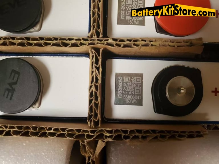 detail of prismatic LiFePO4 battery cells