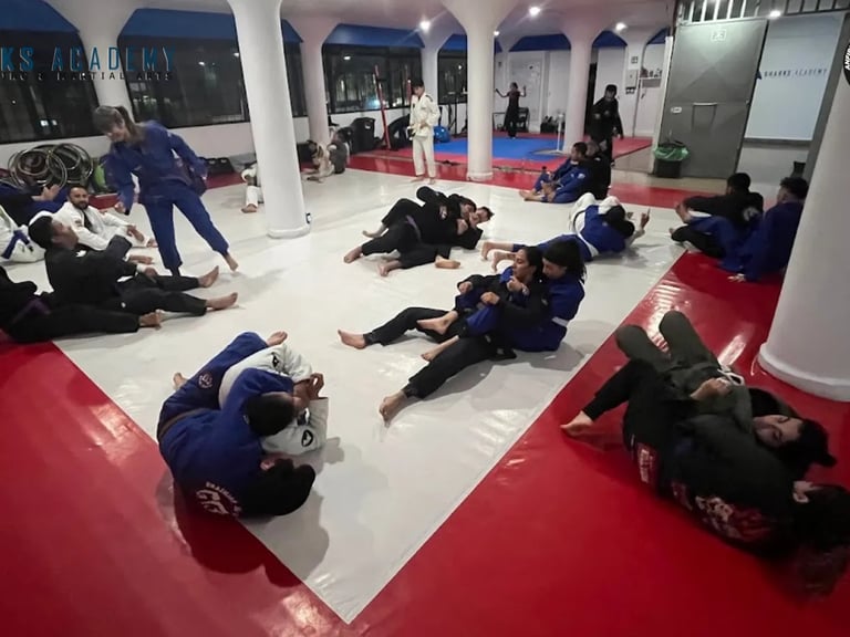 Entrenamiento de jiu jitsu en la narvarte en sharks academy training and martial arts