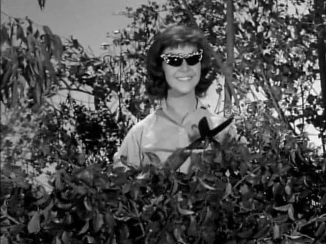 Charlotte Stewart in Bachelor Father