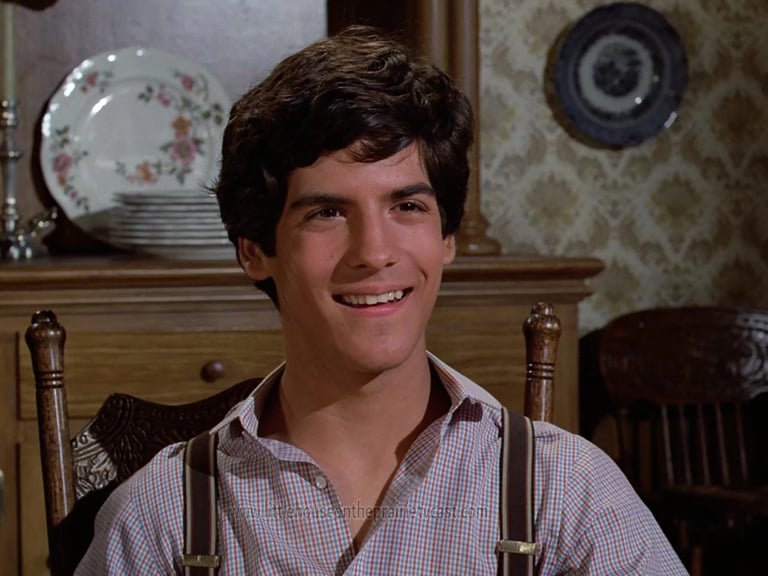 Matthew Labyorteaux in Little House: Look Back to Yesterday