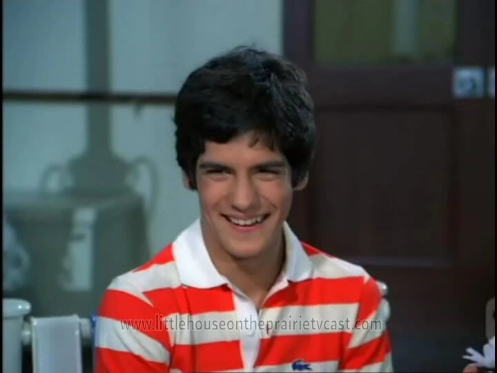 Matthew Labyorteaux in The Love Boat