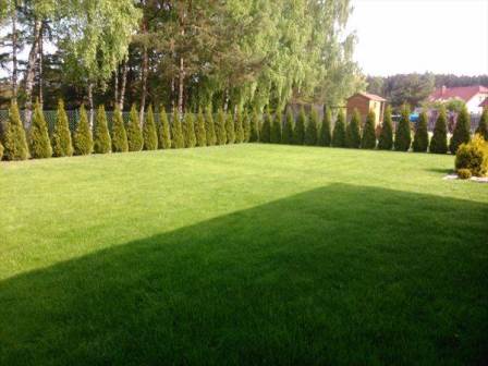 Pielegnacja terenow zielonych