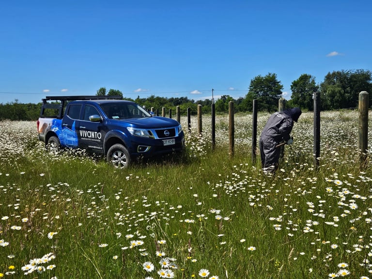 Reparación de cierre perimetral con nuevos postes y refuerzo estructural en Temuco