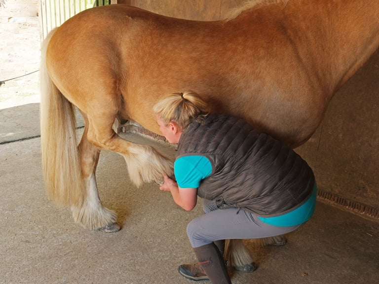 Louise practising bodywork