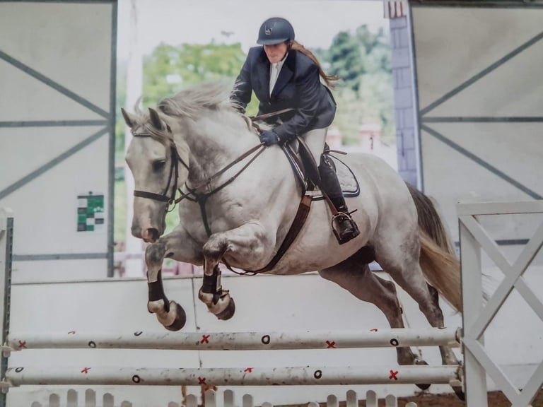 Louise show jumping