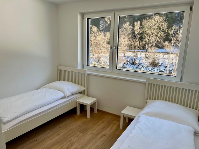 a bedroom with two beds and a window