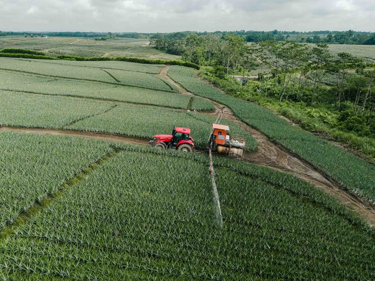 foto de dron de tractor fumigando plantación agrícola en ecuador