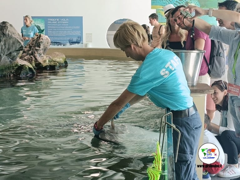 piscina interna parco navi cattolica, vacanze a Cattolica