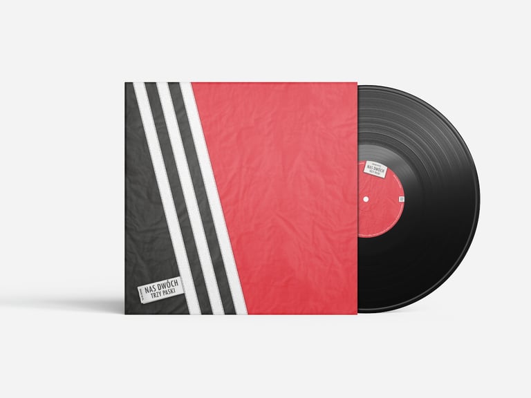 Vinyl album in a sleeve front cover