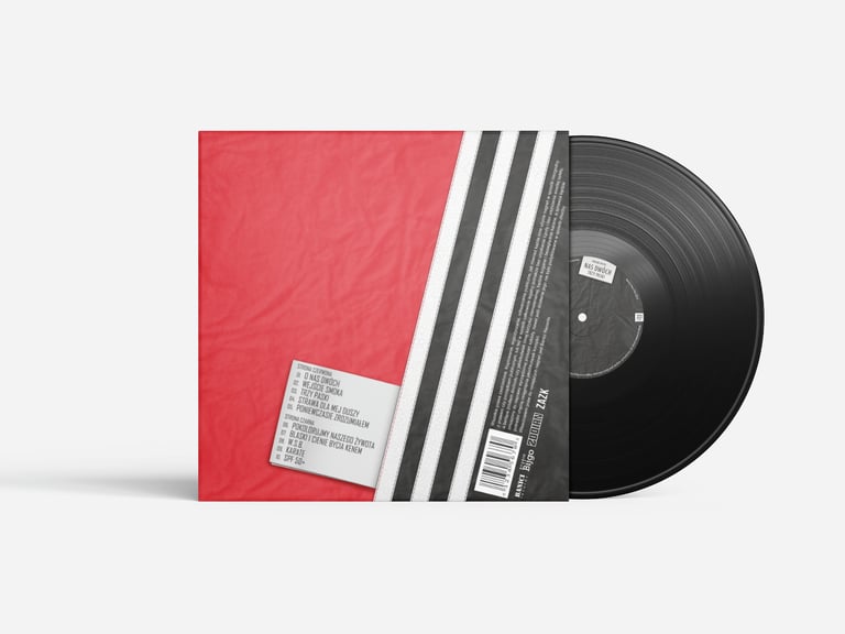 Vinyl album in a sleeve back cover