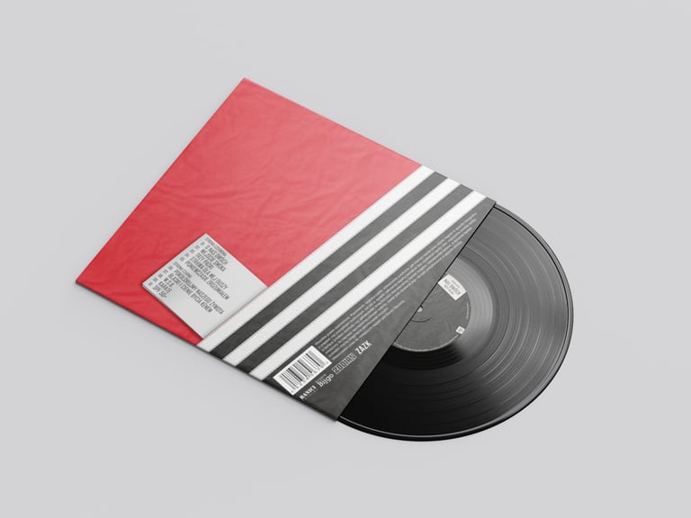 Vinyl album back cover