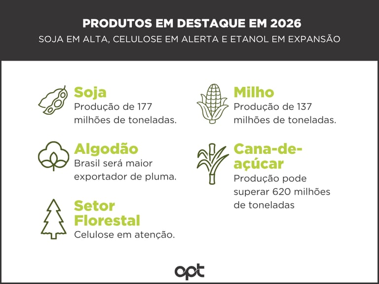 CCenário de produtos para 2026