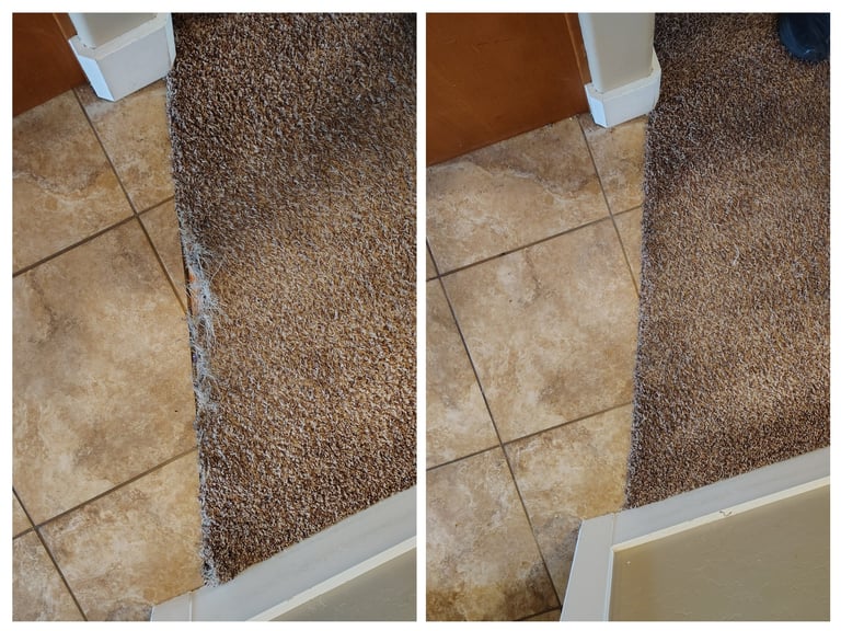 Pet Damaged carpet looked horrible at tile threshold, Carpet was fully repaired to new condition.