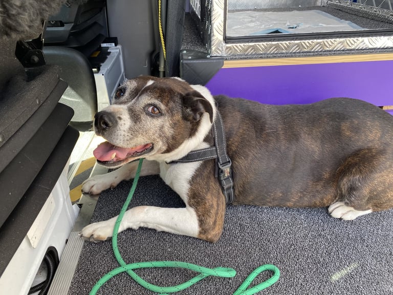 Happy Customer Relaxing