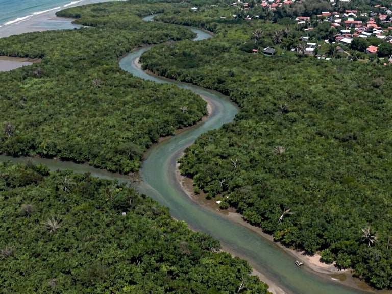 Wide aerial view of a Southeast Asian mangrove coastline at low tide, intricate river channels cutting through dense green canopy, coastal village visible at the far right edge, natural daylight from above, documentary satellite-style framing