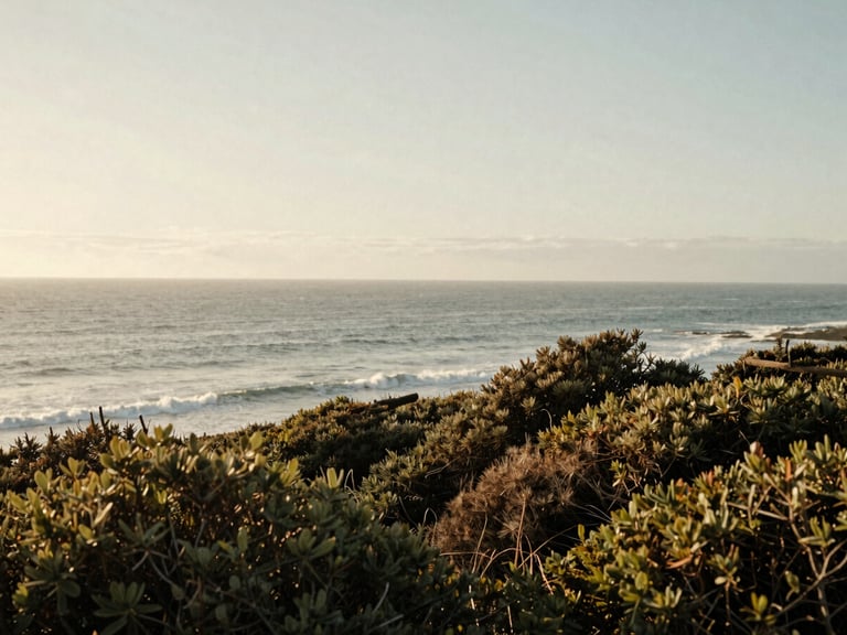 A wide environmental shot of the Signal Hill coastline under soft overcast daylight, with coastal shrubs in the foreground.