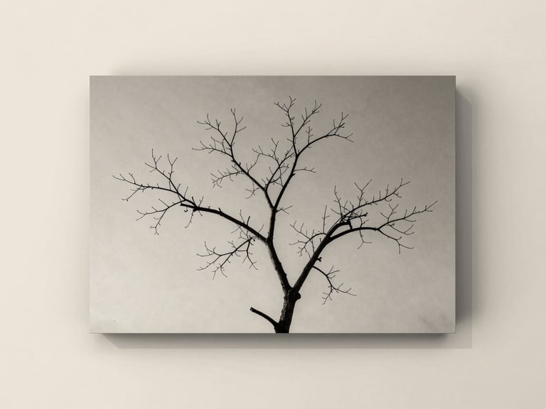 Fine-art black and white photograph of a single bare tree branch against a soft, muted background, framed on a clean plaster wall. Soft diffused daylight.