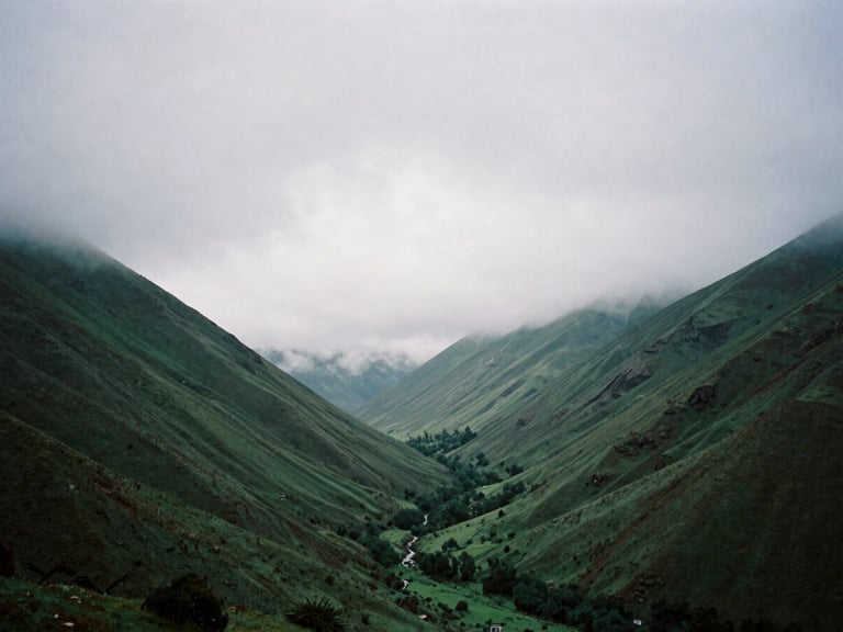 Cinematic film photography, wide panoramic view of a misty green valley under overcast gray skies, high contrast, moody atmospheric lighting, 35mm lens.