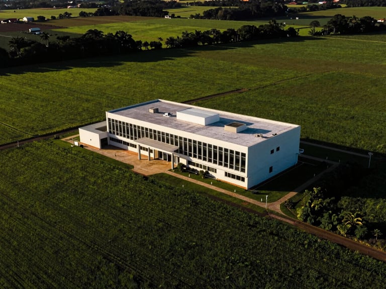 Dramatic high-contrast aerial shot of a modern farm headquarters in Bahia, surrounded by lush green cultivated fields under high afternoon sun
