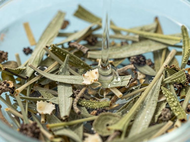 Macro shot of herbal ingredients blending into clean water, crisp commercial photography, bright morning daylight, sharp focus, 50mm lens