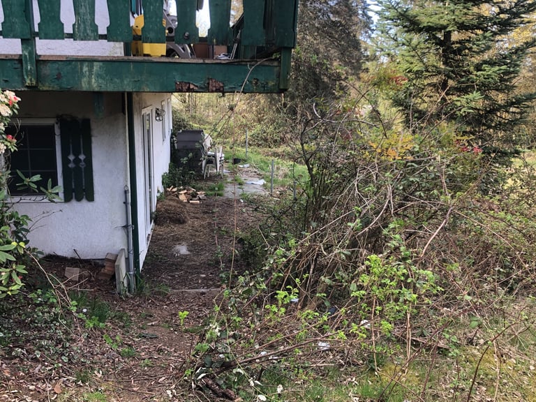 Blackberry removal before pic