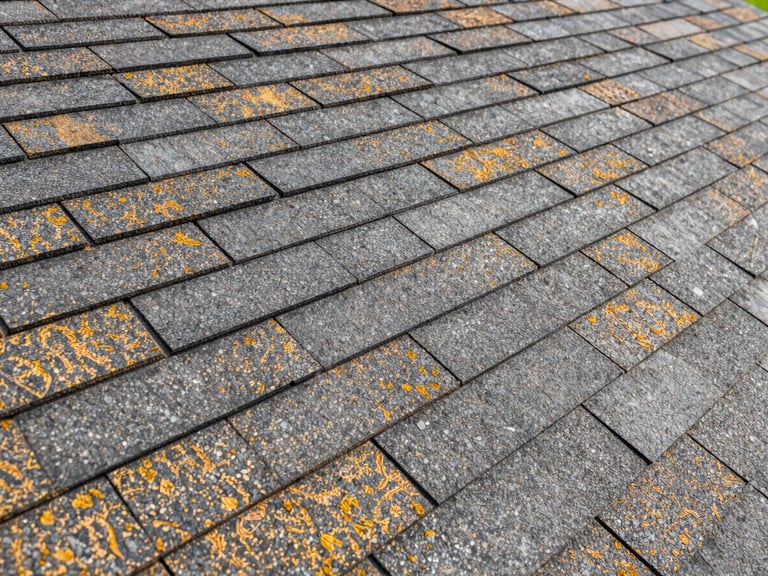 Macro close-up of clean, high-quality architectural shingles showing flawless alignment and texture under bright post-storm daylight