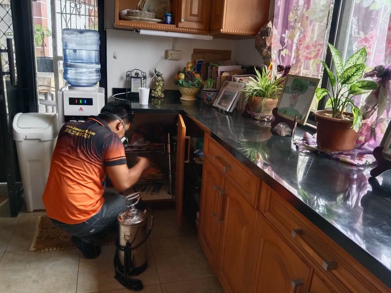 Professional pest control technician spraying kitchen cabinets for domestic insect disinfection services.