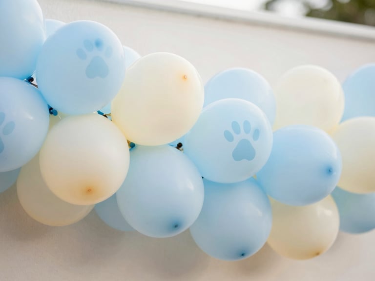 Close-up of a pastel blue and cream balloon garland with subtle paw print balloons, natural light, shallow depth of field