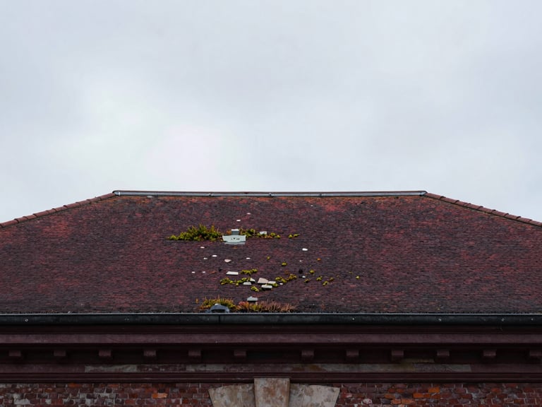 Toiture ancienne dégradée à Lille, ardoises cassées, mousses et lichens, sous un ciel gris. Style: elegant architectural photography, soft northern daylight, moody overcast skies, deep charcoal and rich burgundy tones.